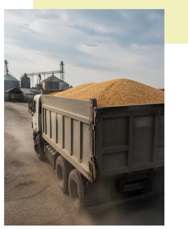 Перевозка сельхозпродукции навалом в Чернушку по цене от 3047 р. | Агросервис-Чрш